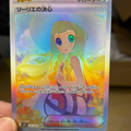 Lillie's Resolve SAR Japanese Trainer
